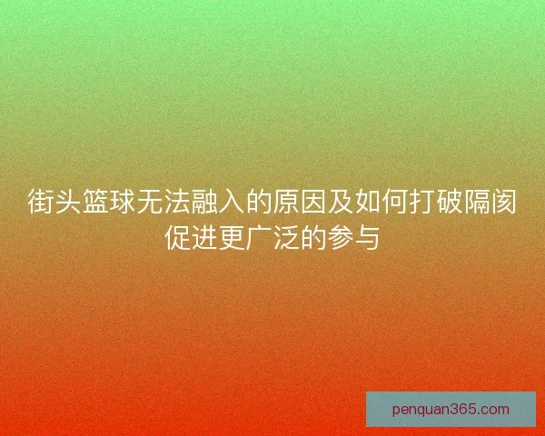 街头篮球无法融入的原因及如何打破隔阂促进更广泛的参与